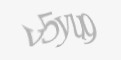 Защитный код